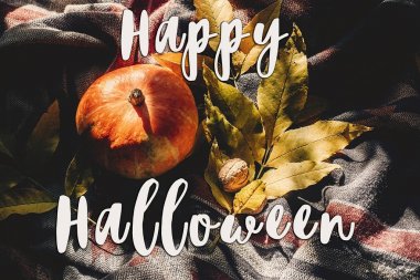 mutlu halloween metin renkli yaprakları ile sonbahar kabak oturum