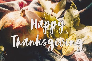 Şükran günün kutlu olsun metni imzalamak sonbahar kabak 