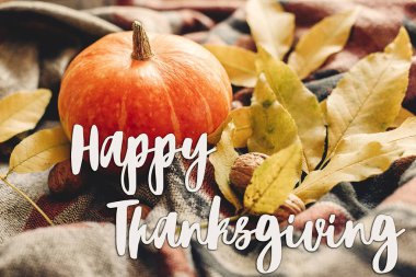 Şükran günün kutlu olsun metni imzalamak sonbahar kabak 