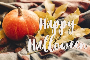 mutlu halloween metin renkli yaprakları ile sonbahar kabak oturum