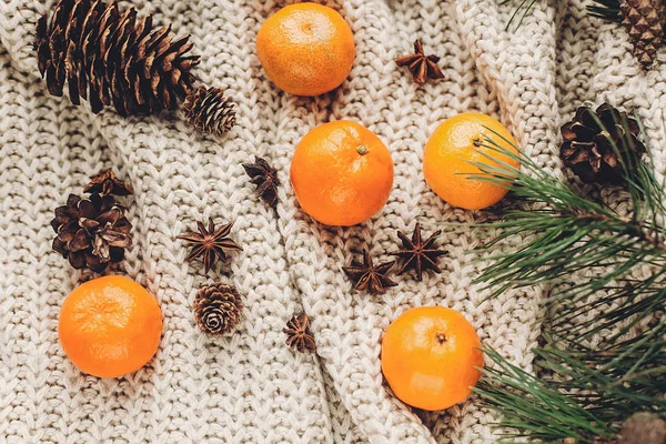 Pulóver, fenyőtobozok, ánizs és mandarin — Stock Fotó