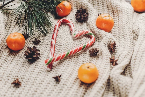 Suéter, conos de pino, anís y mandarinas —  Fotos de Stock