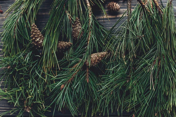 ramas de árbol de Navidad con piñas