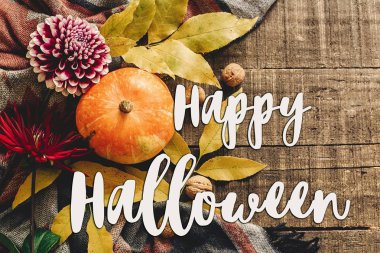 mutlu halloween metin işaret lay düz. Kabak yaprakları ile 