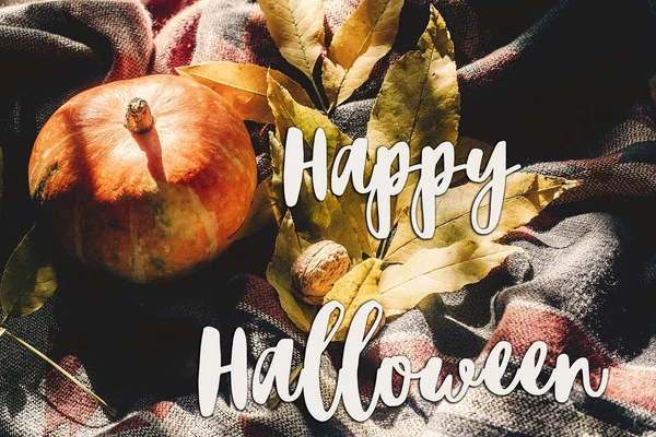 mutlu halloween metin renkli yaprakları ile sonbahar kabak oturum