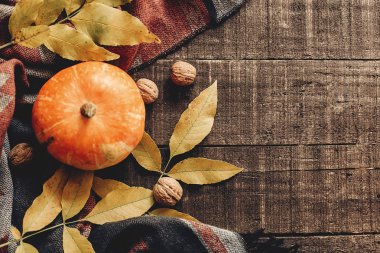 Mutlu Cadılar Bayramı veya Şükran düz yatıyordu. Kabak yaprakları ile