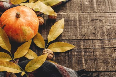 sonbahar yaprakları ve şık eşarp üzerinde ceviz ile kabak