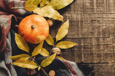 sonbahar yaprakları ve şık eşarp üstten görünüm üzerinde ceviz ile kabak