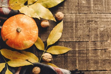 Mutlu Cadılar Bayramı veya Şükran düz yatıyordu. Kabak yaprakları ile 