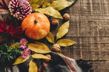 Mutlu Cadılar Bayramı veya Şükran düz yatıyordu. Kabak yaprakları ile 