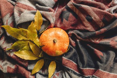 Mutlu Cadılar Bayramı veya Şükran düz yatıyordu. sonbahar kabak 