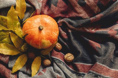 Mutlu Cadılar Bayramı veya Şükran düz yatıyordu. sonbahar kabak 