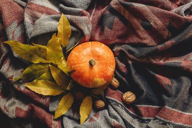 Mutlu Cadılar Bayramı veya Şükran düz yatıyordu. sonbahar kabak 