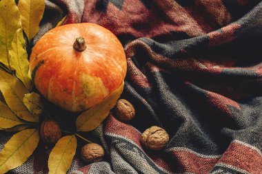 sonbahar renkli yaprakları ve ceviz ile kabak 