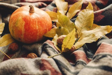 sonbahar renkli yaprakları ve ceviz ile kabak 