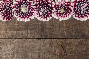 düz lay mor dahlias ile