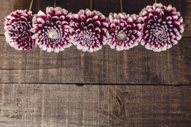 düz lay mor dahlias ile