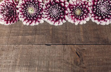 düz lay mor dahlias ile