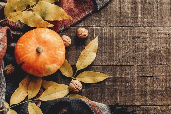 Mutlu Cadılar Bayramı veya Şükran düz yatıyordu. Kabak yaprakları ile