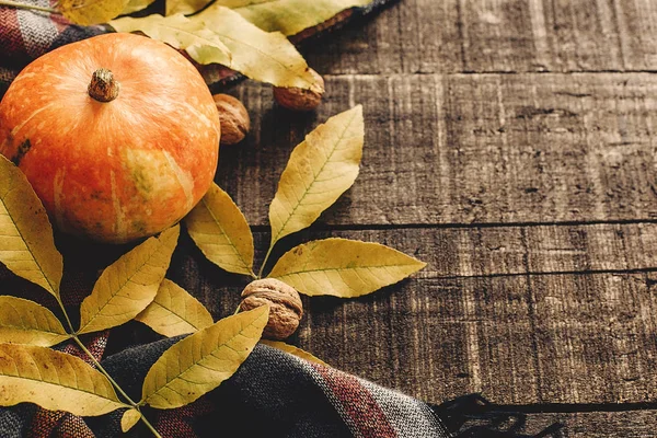 sonbahar yaprakları ve şık eşarp üzerinde ceviz ile kabak