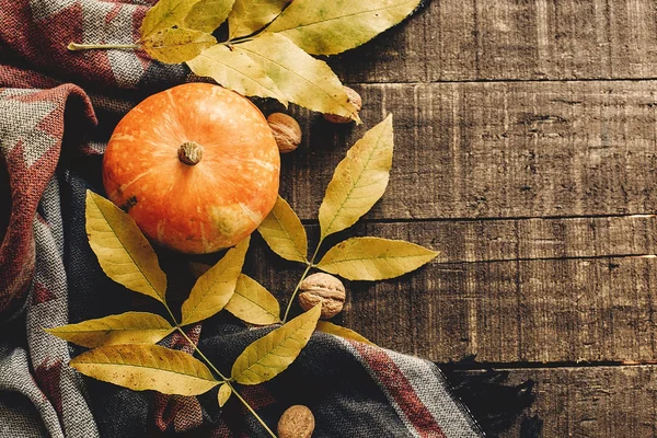 sonbahar yaprakları ve şık eşarp üstten görünüm üzerinde ceviz ile kabak