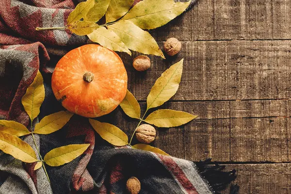 Mutlu Cadılar Bayramı veya Şükran düz yatıyordu. Kabak yaprakları ile