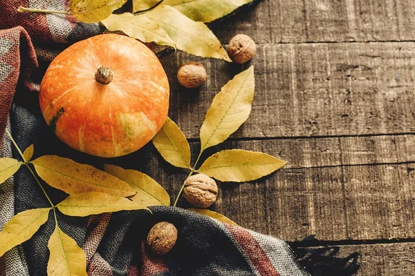Dynia z liści i orzechy włoskie na stylowy szalik góry jesień — Zdjęcie stockowe