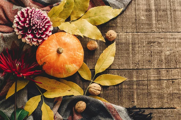 Gelukkig halloween of thanksgiving plat leggen. pompoen met bladeren — Stockfoto