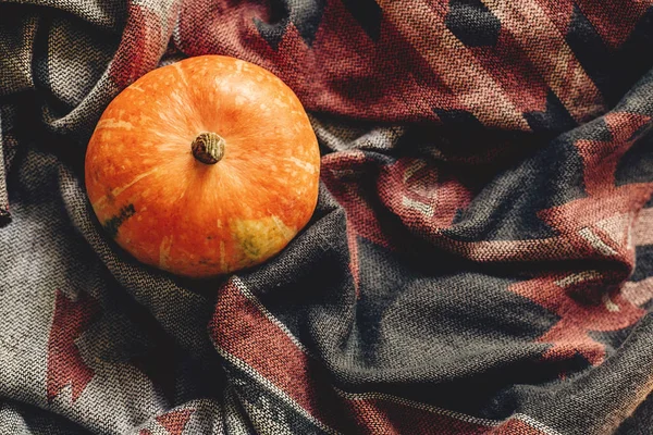 Mutlu Cadılar Bayramı veya Şükran düz yatıyordu. sonbahar kabak