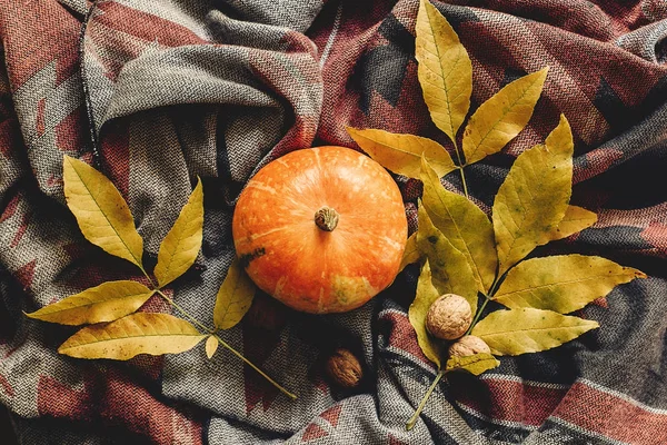 Mutlu Cadılar Bayramı veya Şükran düz yatıyordu. sonbahar kabak 