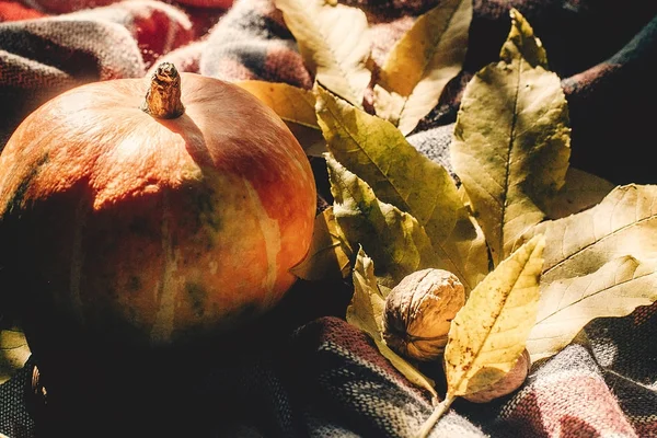 Herfst pompoen met kleurrijke bladeren en walnoten — Stockfoto