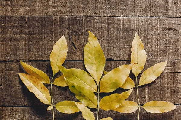 Ahşap arkaplanda sarı yapraklar