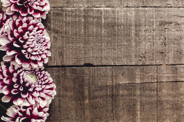 Yıldızçiçekleri ahşap arka plan üzerinde