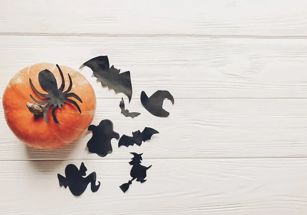 Halloween flat lay. conceito feliz halloween. abóbora com morcegos fantasma bruxa e aranha — Fotografia de Stock
