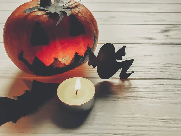 Scary halloween. dark spooky jack lantern pumpkin with ghost bat — Stock Photo, Image