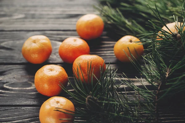 Csillag ánizs és fenyőtobozok mandarin — Stock Fotó