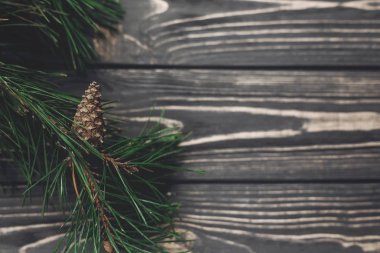 köknar ahşap dallarda