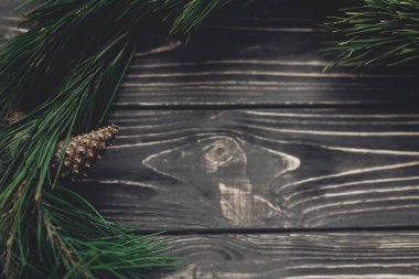 Noel ağacı çam dalları