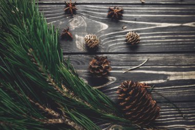 Noel ağacı çam dalları