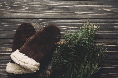 sıcak yün mittnes ve köknar dal 