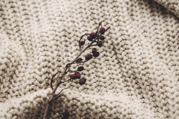 Hawthorn branch on knitted sweater — Stock Photo, Image