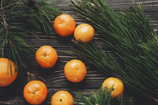 Tangerines และกิ่งไม้สน — ภาพถ่ายสต็อก