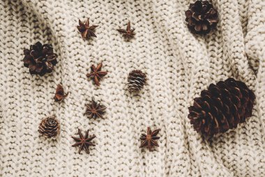 Çam kozalakları ve kazak üzerinde yıldız anason 