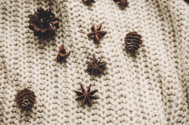 Çam kozalakları ve kazak üzerinde yıldız anason 