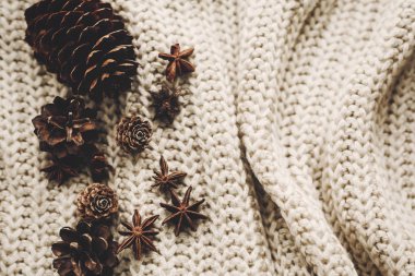 Çam kozalakları ve kazak üzerinde yıldız anason 