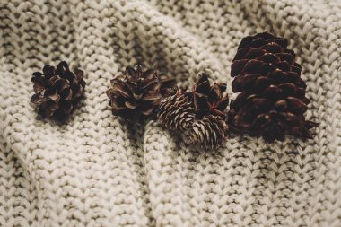 Çam kozalakları kazak üzerinde 