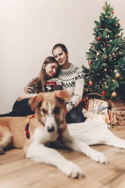 mutlu çift şık kazak ve sevimli köpek Noel ağacı ışıkları ve hediyeler ile dinlenme. 