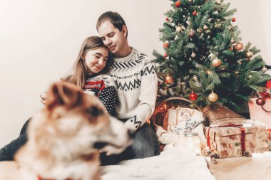 kamera ve mutlu çift arka plan üzerinde kucaklayan bakarak şirin komik köpek