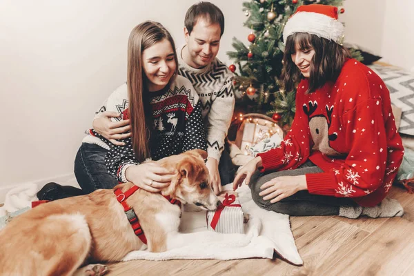 Новым Годом Рождеством Стильная Хипстерская Семья Праздничных Свитерах Собакой Подарком — стоковое фото