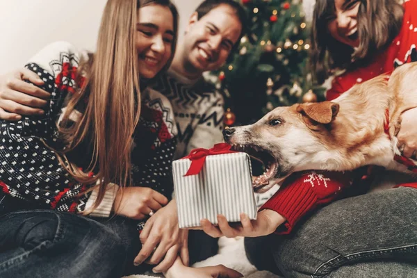 Glückliche Freunde Stylischen Pullovern Und Süße Hunde Die Sich Mit — Stockfoto